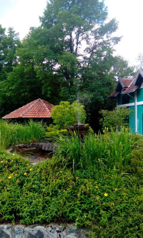 Planinska Kuca Villa Mokra Gora Luaran gambar